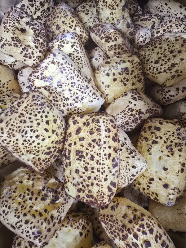 Freeze Dried Pineapple Lumps - Image 3